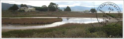 Pillar Point Marsh, Half Moon Bay, California 