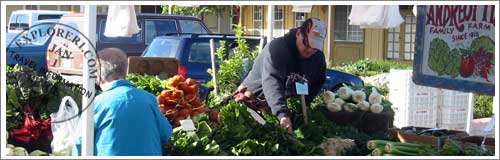 Harbor Village Farmers Market 