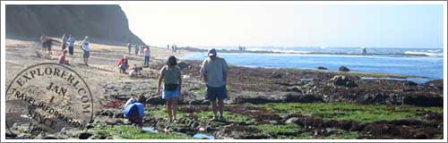 Families enjoy exploring the tide pools at the Fitzgerald Marine Reserve
