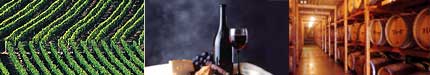 Napa Valley Wine Tasting and Napa Valley Wineries