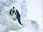 Las Vegas weddings