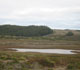 Pescadero Marsh Natural Preserve 