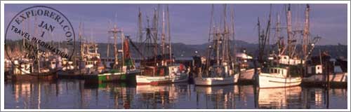 Monterey Fishing Reports and Rentals